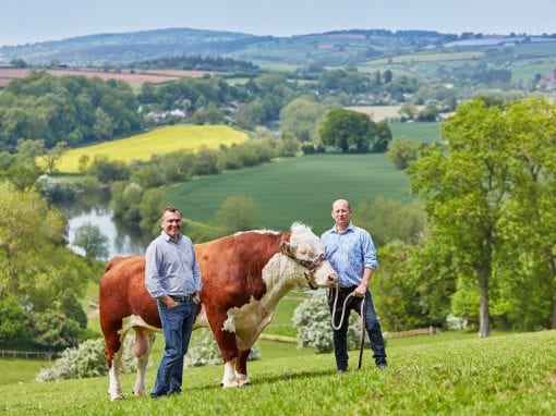 Two farmers