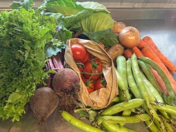 Family Sized Organic Seasonal Vegetables Bag